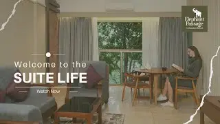 Welcome to the Suite Life at Elephant Passage Resort!