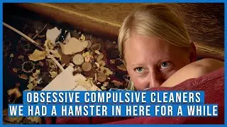 The Hamster NEST Found Behind The Sofa!