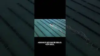 바다 위에서 자라는 서천김 | Seaweed Growing on the Ocean &mdash; Seocheon Gim #kfood #낚시 #서해가볼만한곳