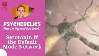 Serotonin & the Default Mode Network | How Do Psychedelics Work?