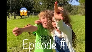Poppy Apocalypse | Episode #1 | A PJ Studios Production