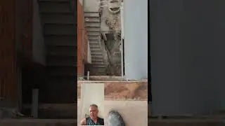 Esse &eacute; o criador, rei do andaime! Capim grosso-ba