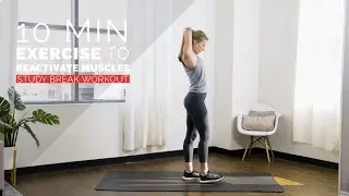 10 Min Study Break Workout to Stretch & Reactivate Muscles