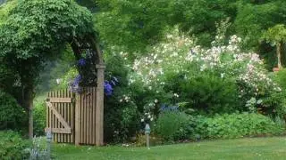 a quiet playlist for a quiet morning at the garden🌿 (studying & relax)