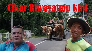 Cikar Jember - Kencong