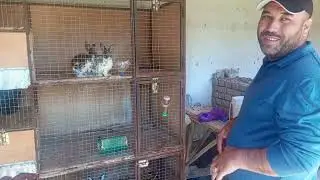 Andijon Qorgontepadan Bunyod Akani mini fermasidan tomosha +998 93 108 13 33