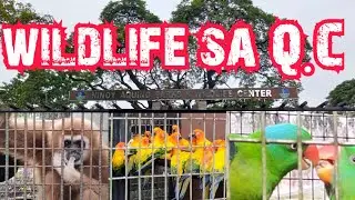 Exploring Ninoy Aquino parks & wildlife center. #trending #ytviral #wildlife #quezoncity #pasyalan