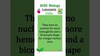 Cell biology revision flashcards GCSE  #education #revision #combinedscience