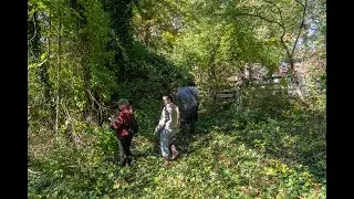 Invasive species removal is a team effort