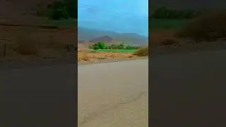 #shortvideo #foryou #slowmotion #nature #pigeon #date #natureshots #flower #water #bird DXRafl 🇴🇲 🇴🇲