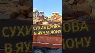 СУХИЕ ДРОВА В АГЛОНУ #дрова #береза #латвия