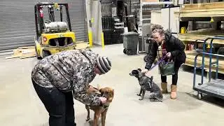 baby Luna first training adventure; a magical day