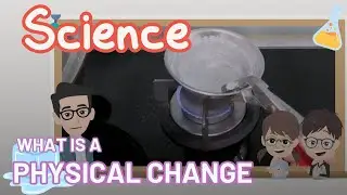 Is adding table salt to water a physical change?