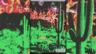 (FREE) Trap Loop Kit 