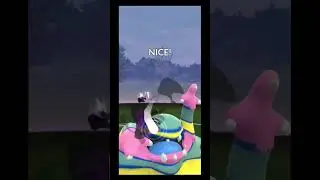 Pokemon Battle: Leader Cliff #pok&eacute;mon #pokemonteam #pokemongo #teamgorocket #viral #shorts #short