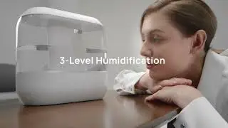 The Best Selling Humidifier | DREO Humidifier HM311