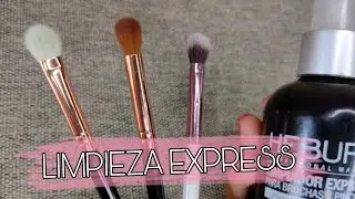 COMO HACER LIMPIA BROCHAS EXPRESS CASERO | DIY