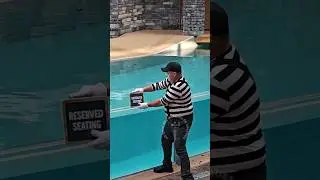 Мим Том изобретает новое место для плацкарт 😂🤣 #tomthemime #seaworldmime