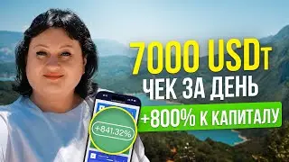 $150 000 бонусами, статус Director и рост x8 &mdash; история Светланы в Stability | Стабилити