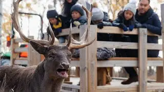 Explore outdoors this fall in Winnipeg