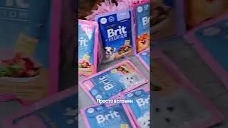 НИКОГДА НЕ СДАВАЙСЯ! #shorts