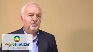 Pac, obiettivo: conoscerla da vicino