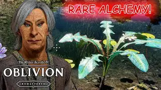 Oblivion&rsquo;s Most Mysterious Plant &ndash; The Secret of Nirnroot