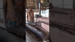 woodworking #timberprocessing #shorts
