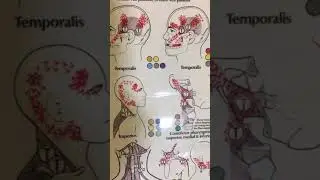 DYI Acupressure GB 21  Video#8