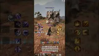 BDO Seraph. Best PVE Combos for the New Class in BDO (Black Desert)