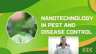 GE 7 - Section A (Nanotechnology and it's Applications in Agriculture) 