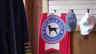The Black Dog looks to work with local shelters to help animals find a home