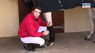 Stable Boot Wraps