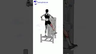Machine Hip Abduction   mobile view