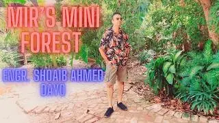 Mirs Mini Forest Khathar Hyderabad Sindh | A Trip to Mirs Mini Forest Hyderabad |Forest in Hyderabad