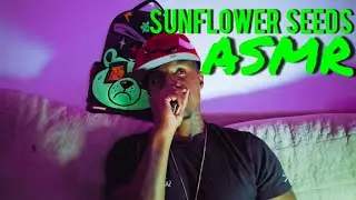 Super Relaxing SunFlower Seeds #Asmr 
