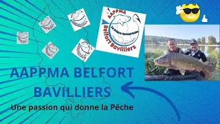 Enduro 2021 carpes, Etang des Forges, partie 2: les pesées et poissons, Aappma Belfort Bavilliers