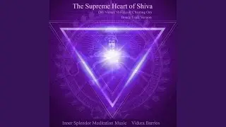 Om Namah Shivaya
