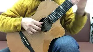 Taylor NS-72CE   2003    [LAST GUITAR]