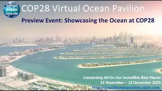 COP28 Virtual Ocean Pavilion Preview Event: Showcasing the Ocean at COP28