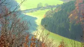 Herb Alpert & Tijuana Brass - El Presidente (0:30) + 1 Song with unknown Singer
