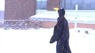 The Penguin Shuffle