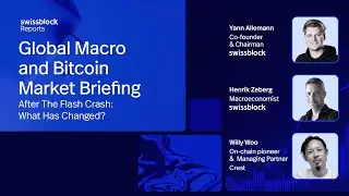 After The Flash Crash  What Has Changed?