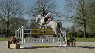 Ember Z