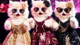 💃बिल्ली&nbsp;डांस Cute Cat Couple Dancing 💃😻 Dushtu Kokil Funny Dance 🤣&nbsp;#funny #viral #shorts #dancingcat