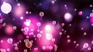 Dream of Little bear  kids photography background kids video background