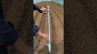🌽🌱 Ultimate Manual Seeder for Garlic, Soybeans & More! 🚜 | Fast & Easy Planting #ytshorts #shorts
