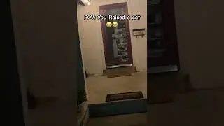 Waiting for me 😭 #viralvideo #trending #izslime #funny #new #shorts #cats#owner #child #kids