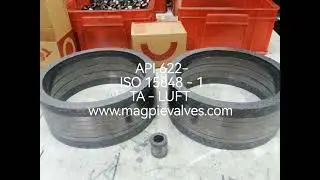 API 624, ISO 15848 1 & TA LUFT Packing and Gaskets