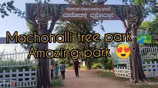Machohalli tree park 🏞️ vlog😍😍|| absolutely amazing park 😲😍||